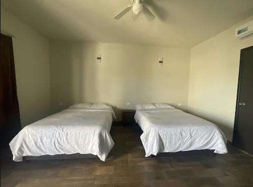 Hotel & Hostal 230 Valladolid  Ngoại thất bức ảnh